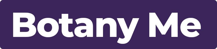 Botany Me
